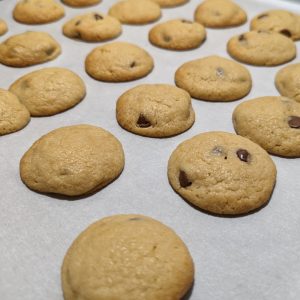 CBD FSE Chocolate Chip Cookies - Medicinal