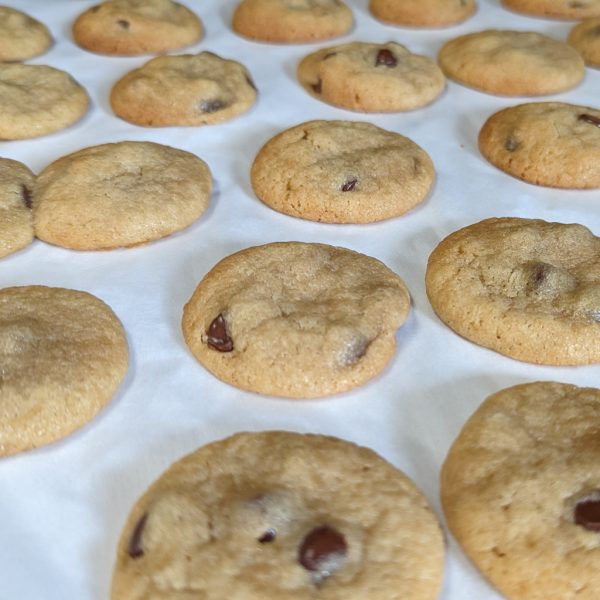 CBD FSE Chocolate Chip Cookies - Medicinal - Image 3