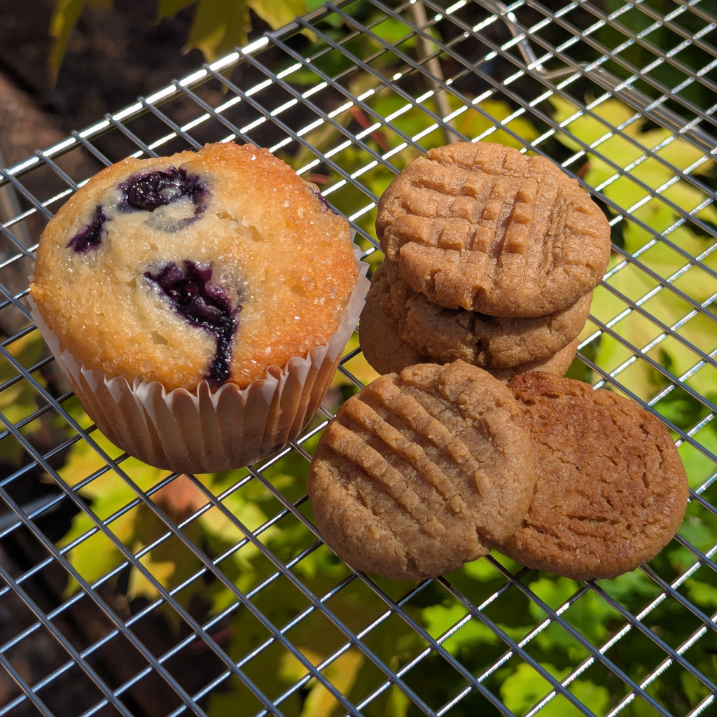 50mg THC Peanut Butter Cookies - No Sugar, Flour or Dairy! - Image 2